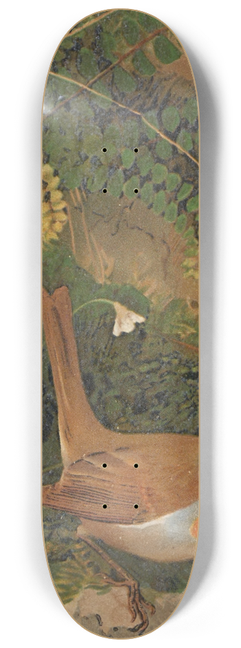 Lo-Paul Robert - Rouge-Gorge 8.25 inch art skate deck