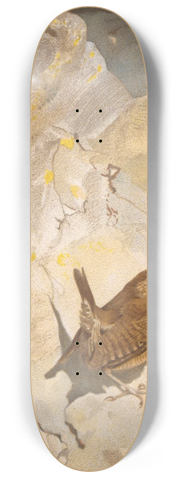 Lo-Paul Robert - Troglodyte 8.25 inch art skate deck