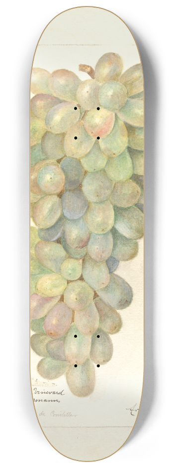 Amanda Almira Newton - Vitis 8.25 inch art skate deck