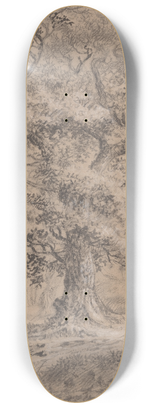 Johann Caspar Huber - A Leafy Oak by a Woodland Path 8.25 inch art skate deck