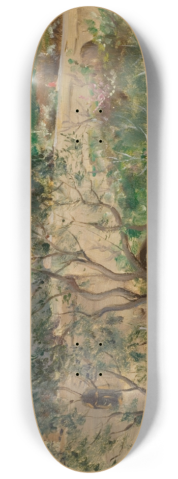Louis Ritter - View of Capri 8.25 inch art skate deck