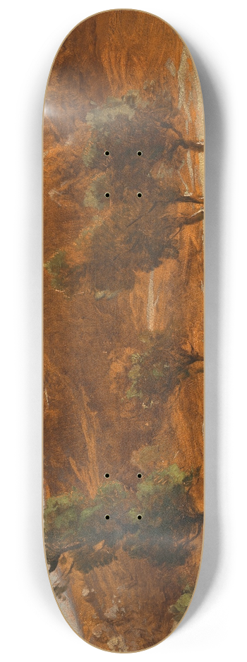 Ludwig Willroider - A Vast Landscape, 8.25 inch art skate deck