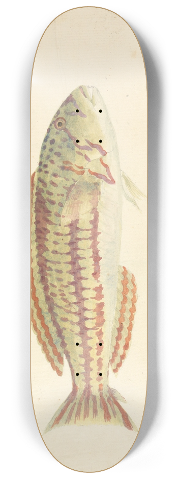 Luigi Balugani - Mullup 8.25 inch art skate deck