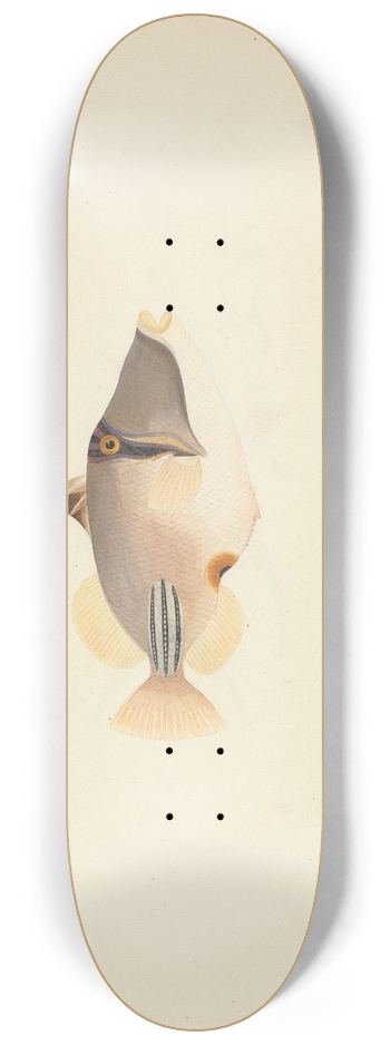 Luigi Balugani - Unidentified Fish 8.25 inch art skate deck
