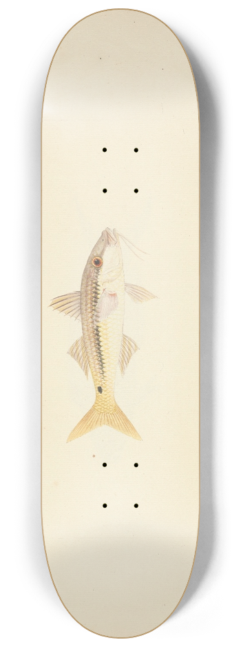 Luigi Balugani - Unidentified Fish 8.25 inch art skate deck