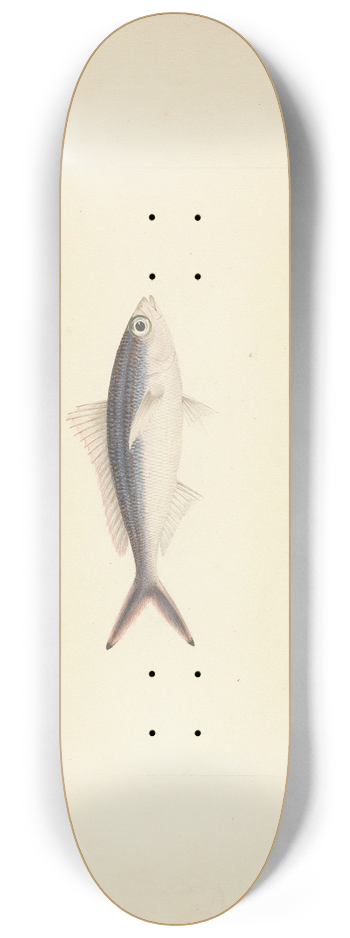 Luigi Balugani - Unidentified Fish 8.25 inch art skate deck