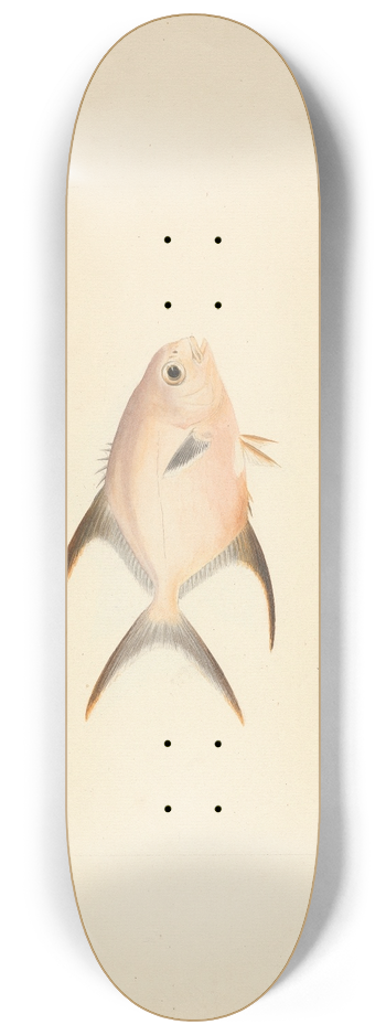 Luigi Balugani - Unidentified Fish 8.25 inch art skate deck