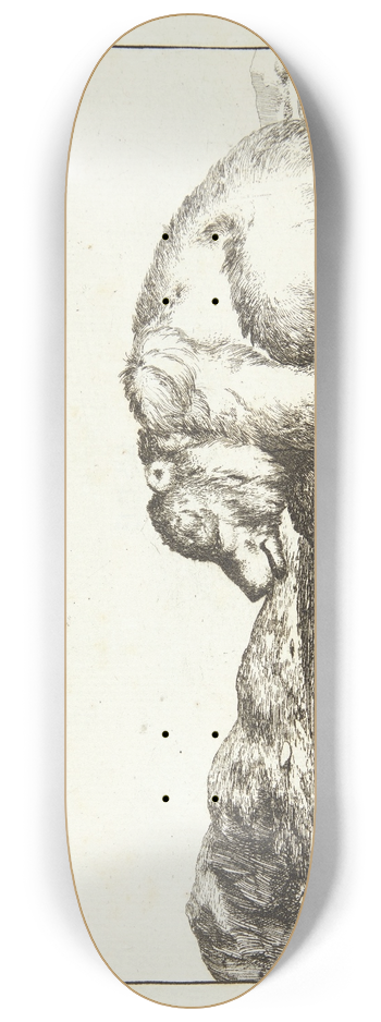 Marcus de Bye - Liggende bjrn, vendt mod venstre 8.25 inch art skate deck