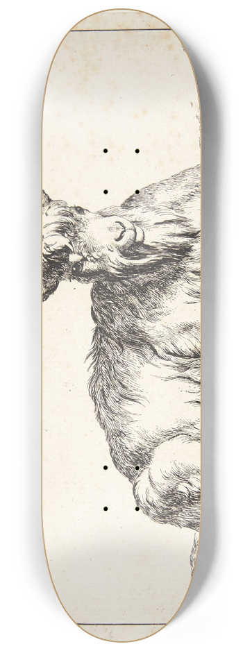 Marcus de Bye - Liggende ged 8.25 inch art skate deck