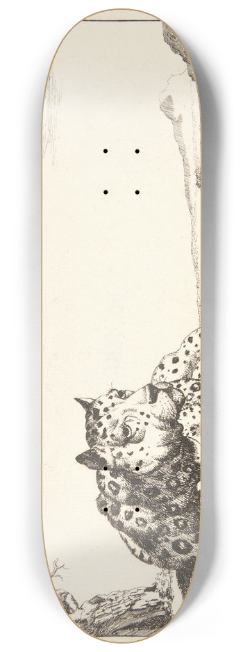 Marcus de Bye - Liggende leopard, set forfra 8.25 inch art skate deck