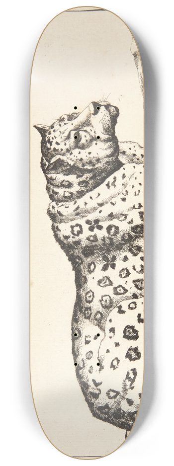 Marcus de Bye - Liggende leopard, vendt mod hjre 8.25 inch art skate deck