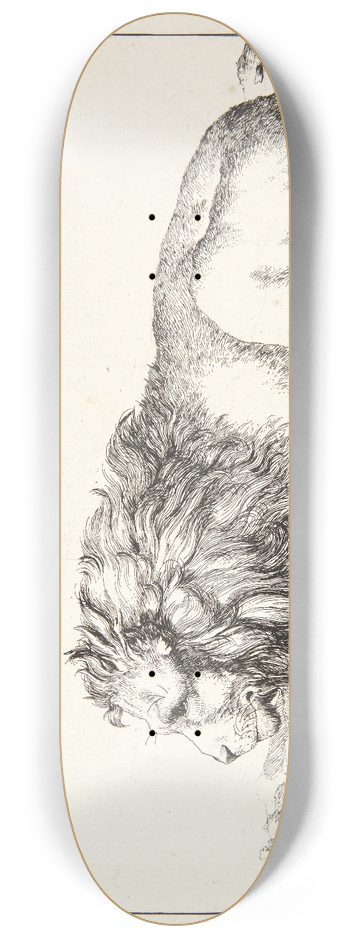 Marcus de Bye - Liggende lve 8.25 inch art skate deck