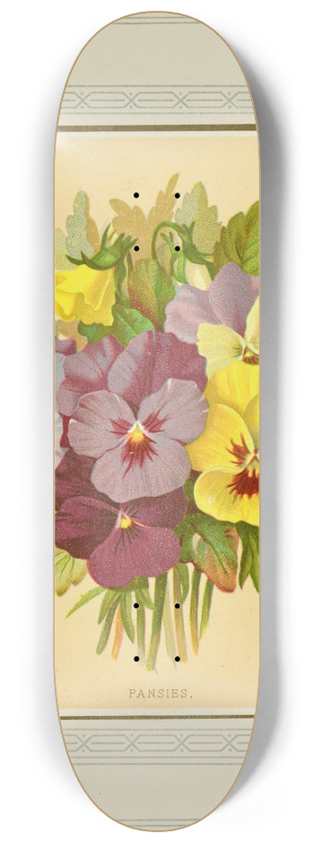 Marcus Ward & Co - Pansies 8.25 inch art skate deck