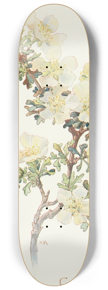 Margaret Armstrong - Cliff Rose 8.25 inch art skate deck