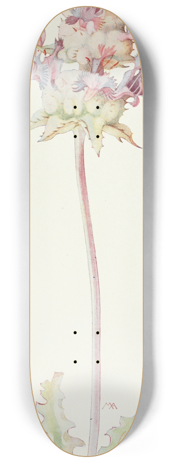 Margaret Armstrong - Thistle Sage 8.25 inch art skate deck