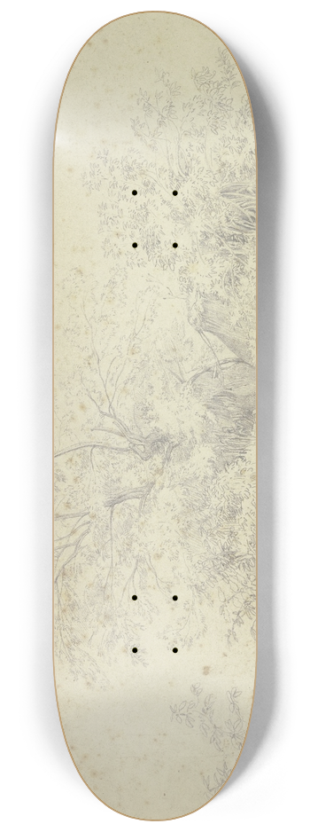 Johannes Thomas - Vegetation picture 8.25 inch art skate deck