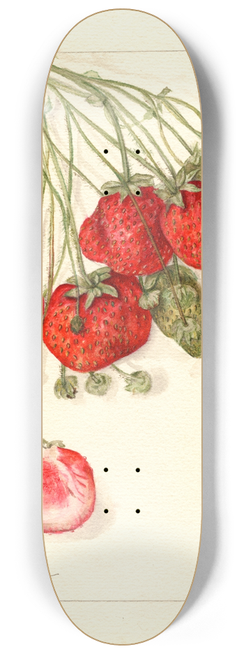Mary Daisy Arnold - Fragaria: Francis 8.25 inch art skate deck