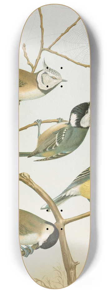 Johann Friedrich Naumann - Parus mitratus, Parus ater, Parus major, Parus subpalustris Brm 8.25 inch art skate deck