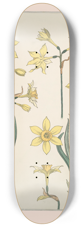Maurice Pillard Verneuil - Jonquille 8.25 inch art skate deck
