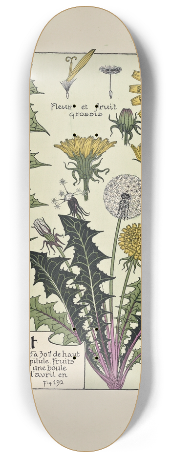 Maurice Pillard Verneuil - Pissenlit 8.25 inch art skate deck