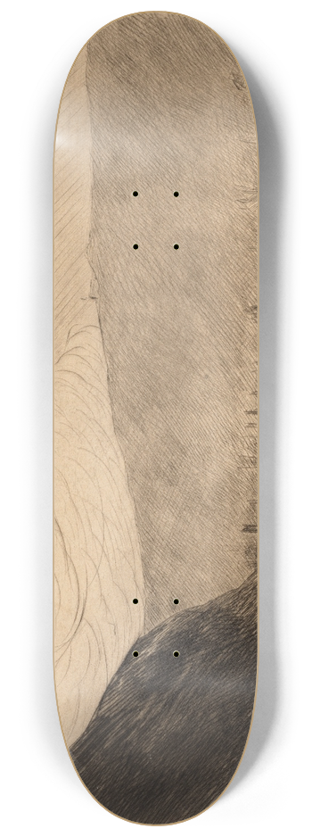 Maxime Maufra - Lentre du port 8.25 inch art skate deck