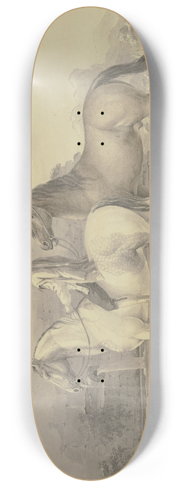 Johann Georg Pforr - Spanish horses 8.25 inch art skate deck