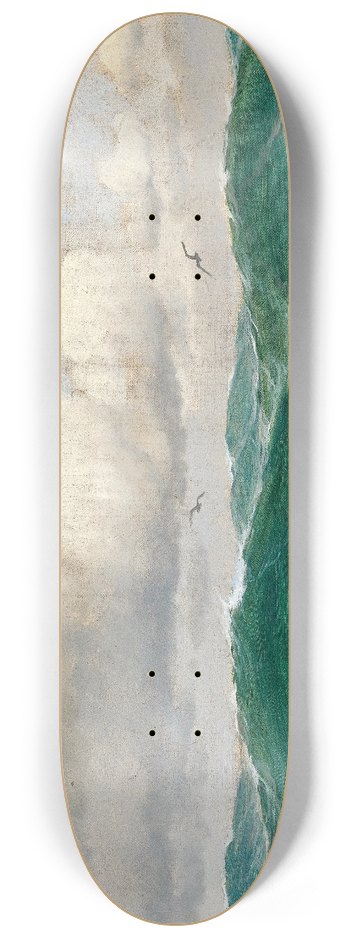 Max Jensen - A seascape with seagulls 8.25 inch art skate deck