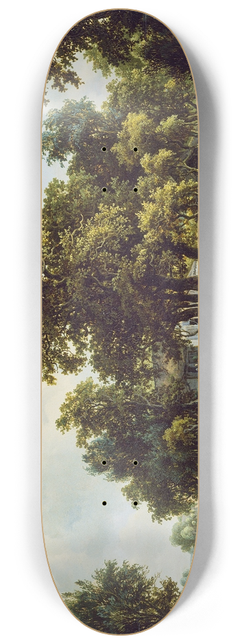 Meindert Hobbema - The Outskirts of a Wood 8.25 inch art skate deck