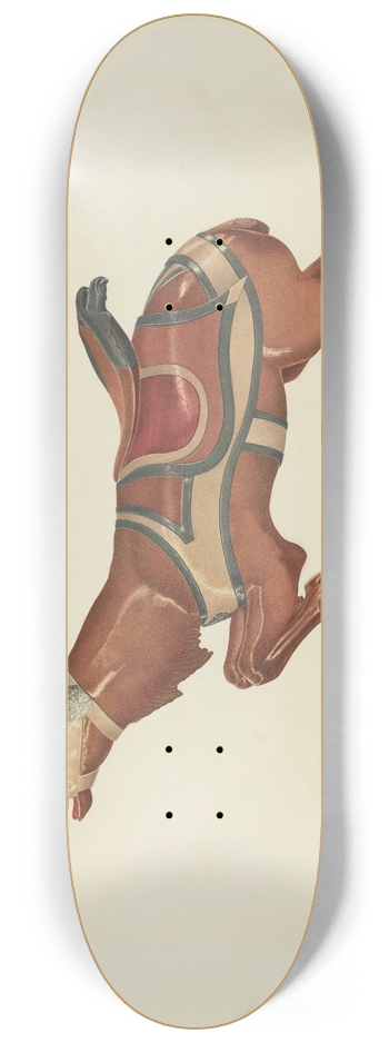 Michael Riccitelli - Carousel Reindeer 8.25 inch art skate deck