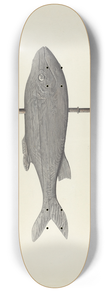 Michael Riccitelli - Fish Weather Vane 8.25 inch art skate deck