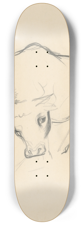 Mikul Galanda - Young Bull 8.25 inch art skate deck