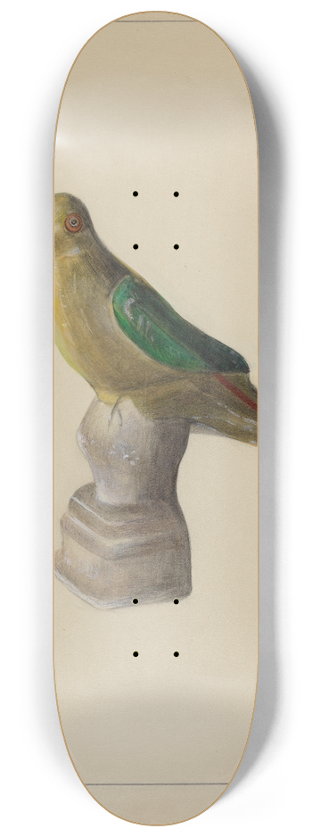 Mina Lowry - Chalkware Parrot 8.25 inch art skate deck