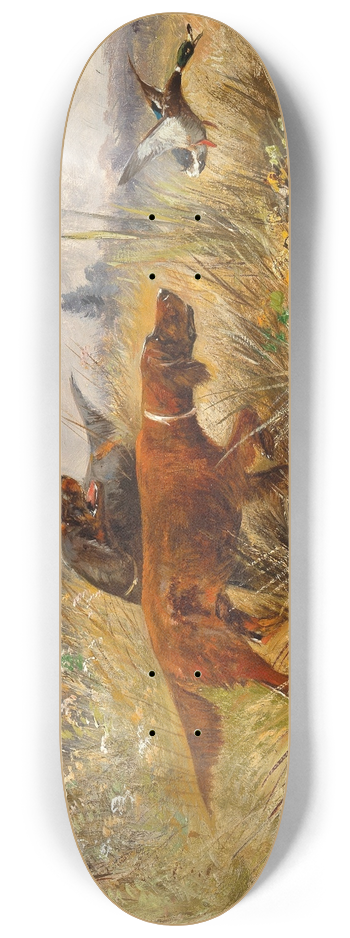 Moritz Mller - A Duck Hunt 8.25 inch art skate deck