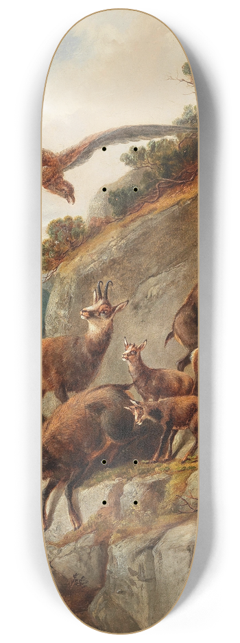 Moritz Mller - Chamois and Eagle on a Steep Cliff Face 8.25 inch art skate deck