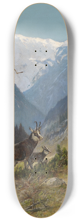 Moritz Mller - Gamswildrudel 8.25 inch art skate deck