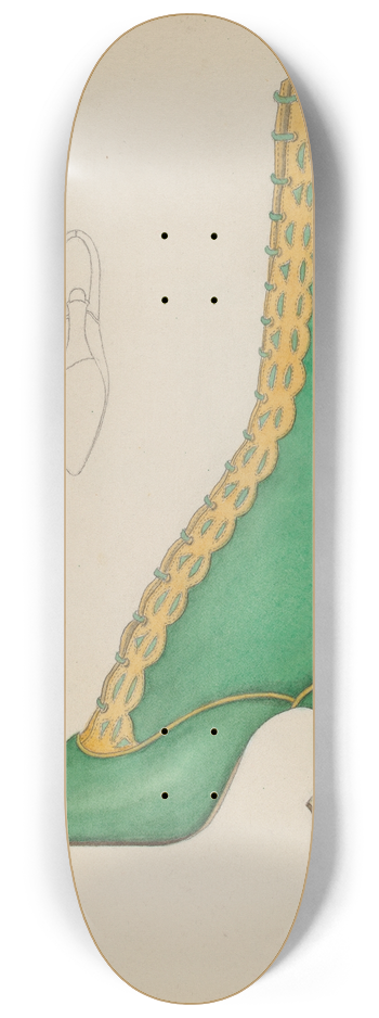 Nancy Crimi - Womans Shoe 8.25 inch art skate deck