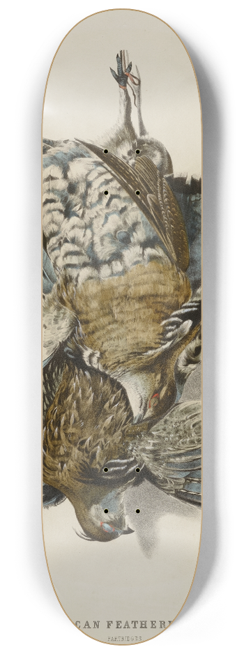 Nathaniel Currier - American Feathered GamePartridges 8.25 inch art skate deck