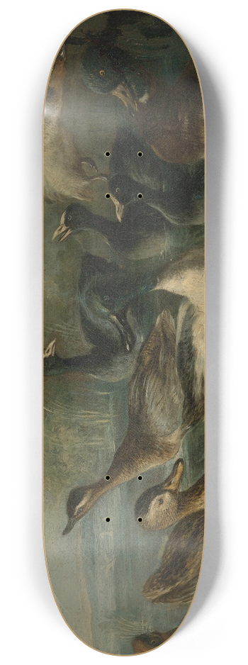 Neapolitan School - Ducks on the pond 8.25 inch art skate deck