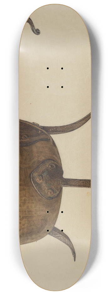 Nicholas Acampora - Pan 8.25 inch art skate deck