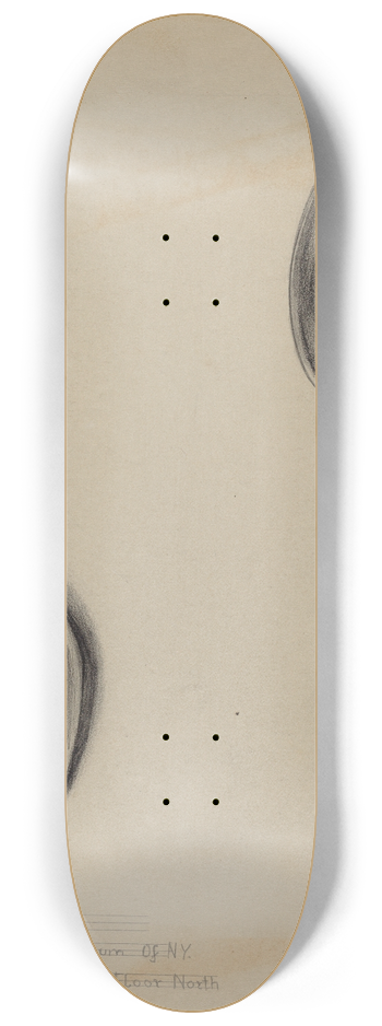 Nicholas Zupa - Silver Spoon 8.25 inch art skate deck