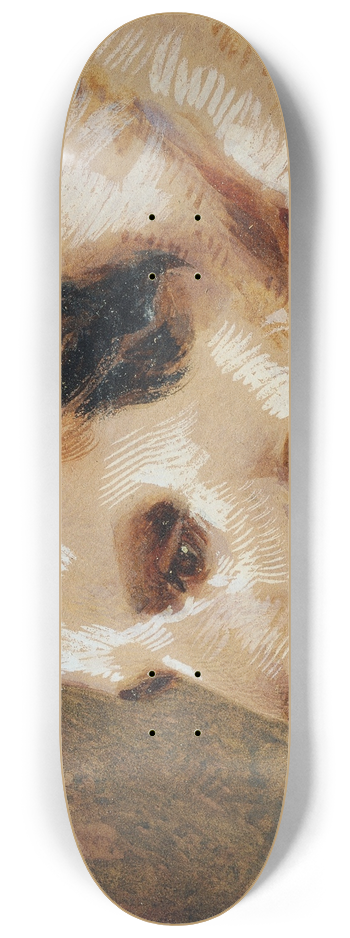 Johann Matthias Ranftl - Hundekopf 8.25 inch art skate deck