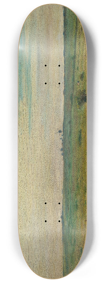 Nils Kreuger - Siesta on land 8.25 inch art skate deck