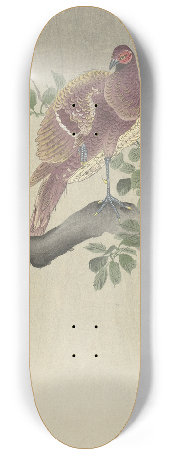 Ohara Koson - Copper pheasant 8.25 inch art skate deck