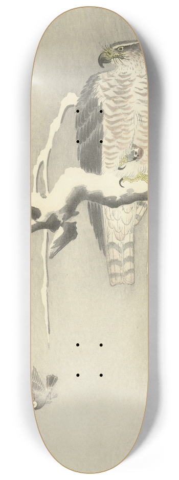 Ohara Koson - Hawk with captive tree sparrow 8.25 inch art skate deck