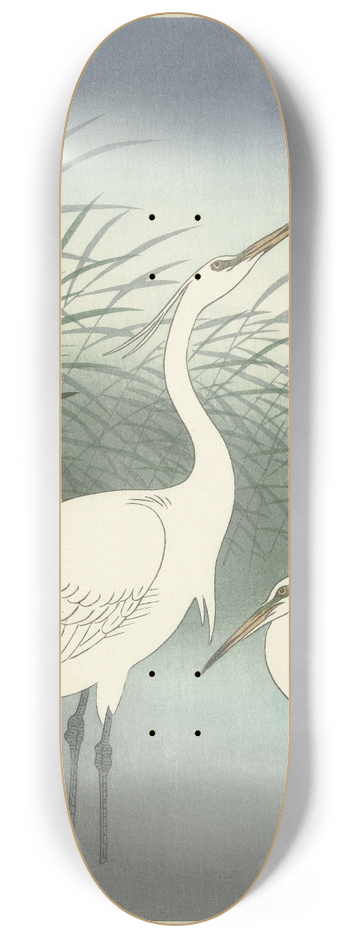 Ohara Koson - Herons in shallow water 8.25 inch art skate deck