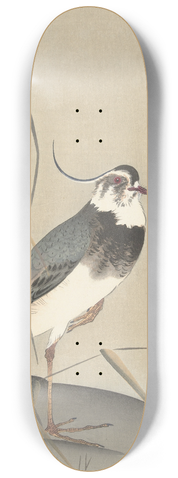 Ohara Koson - Lapwing and reed 8.25 inch art skate deck