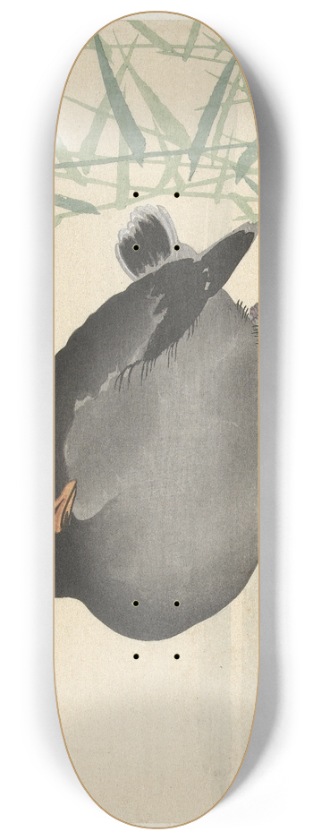 Ohara Koson - Moorhen 8.25 inch art skate deck