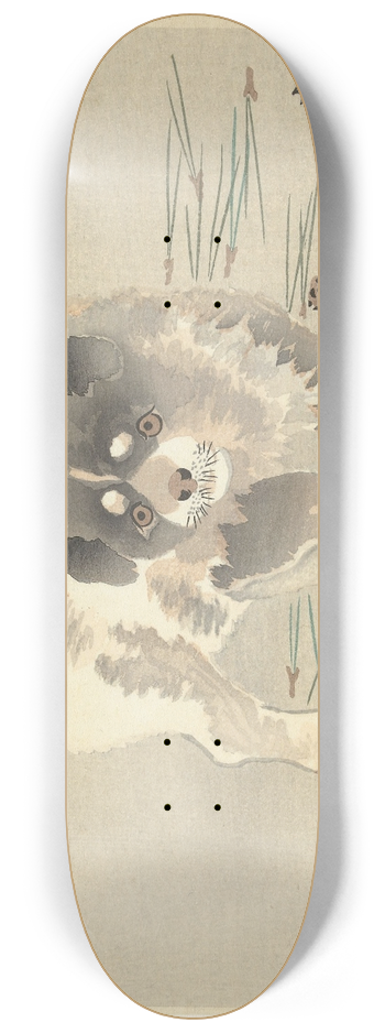 Ohara Koson - Puppy 8.25 inch art skate deck
