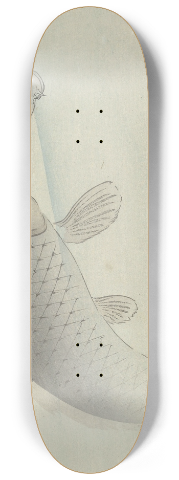 Ohara Koson - Two carps 8.25 inch art skate deck