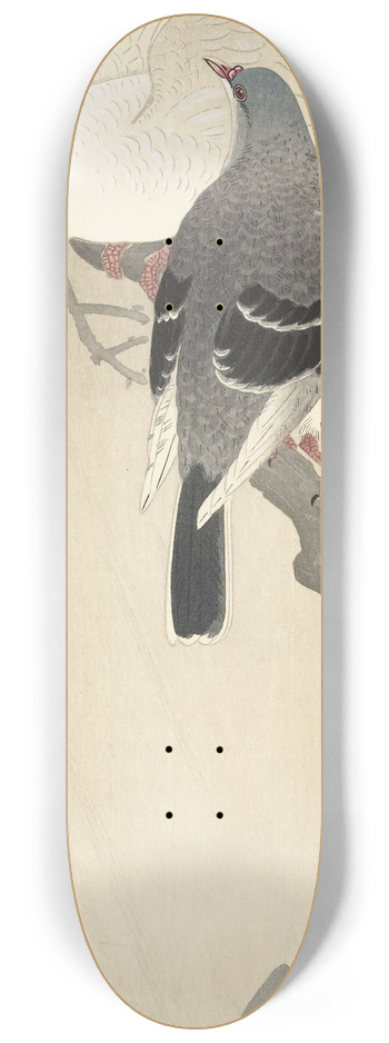 Ohara Koson - Two pigeons on a branch 8.25 inch art skate deck